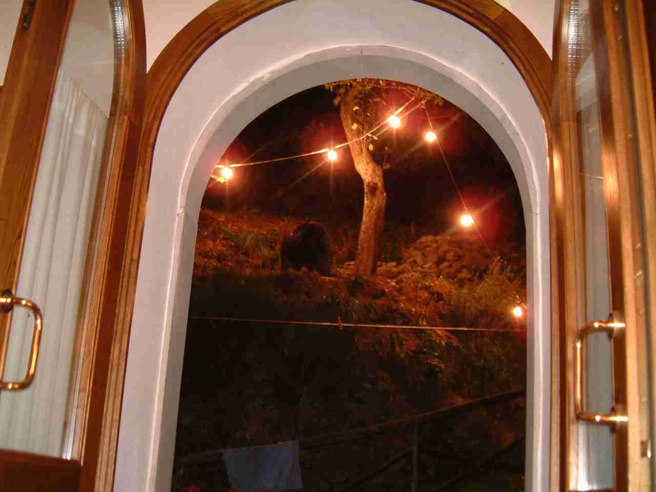  Image name: DSCF0034.JPG 
 width: 1280 pixel 
 height: 960 pixel 
 Size: 49013 bytes 
 Click to enlarge 